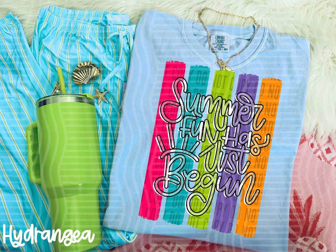 Summer has just begun -  Digital Download 300DPI PNG FILE