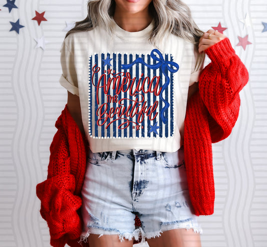America the Beautiful (framed) - Digital Download 300DPI PNG FILE