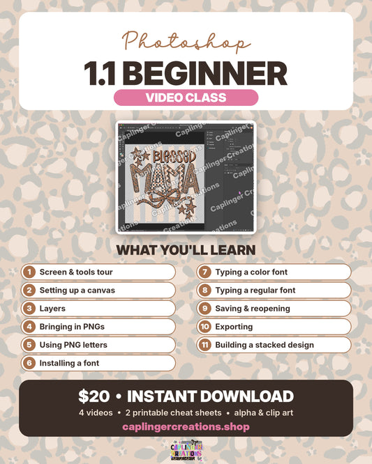 Photoshop 1.1 Beginner Tutorial - NO COUPON CODE PLEASE - Digital Video Class