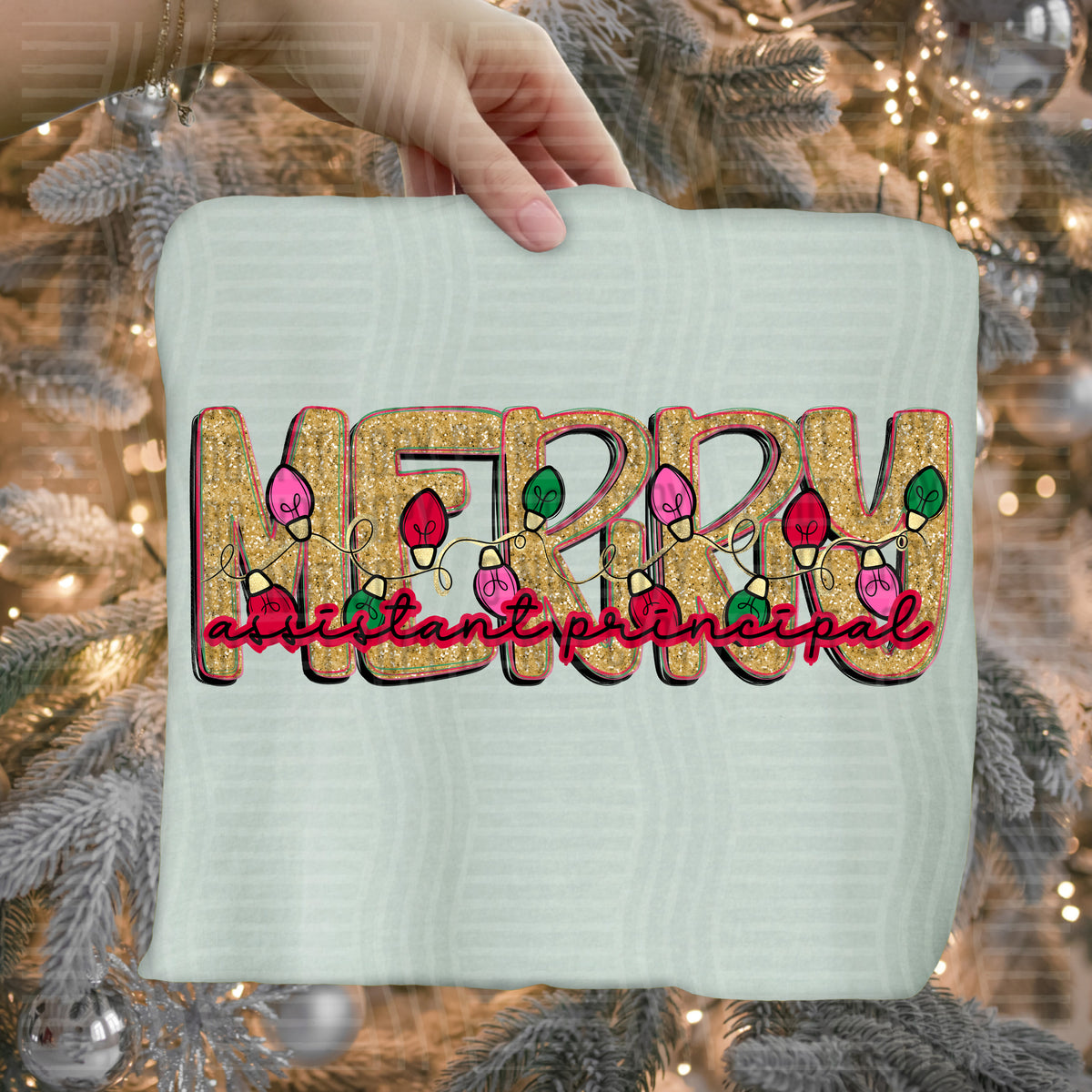 Merry (lights) Occupations - ASSISTANT PRINCIPAL mockup