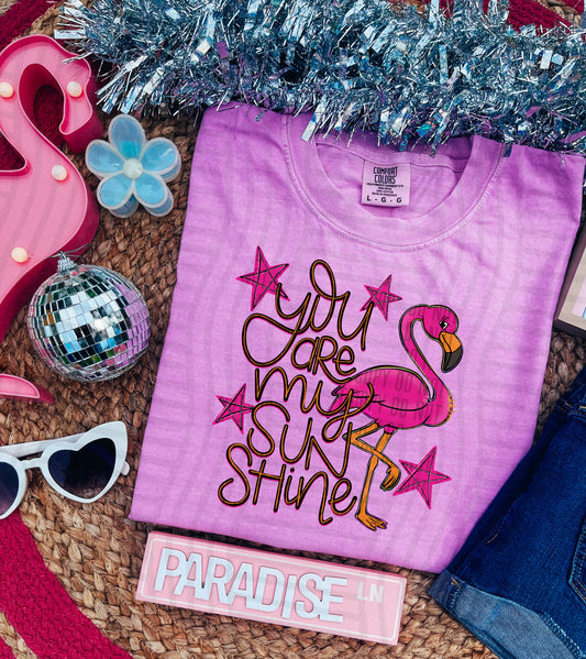 You are my sunshine (flamingo) -  Digital Download 300DPI PNG FILE